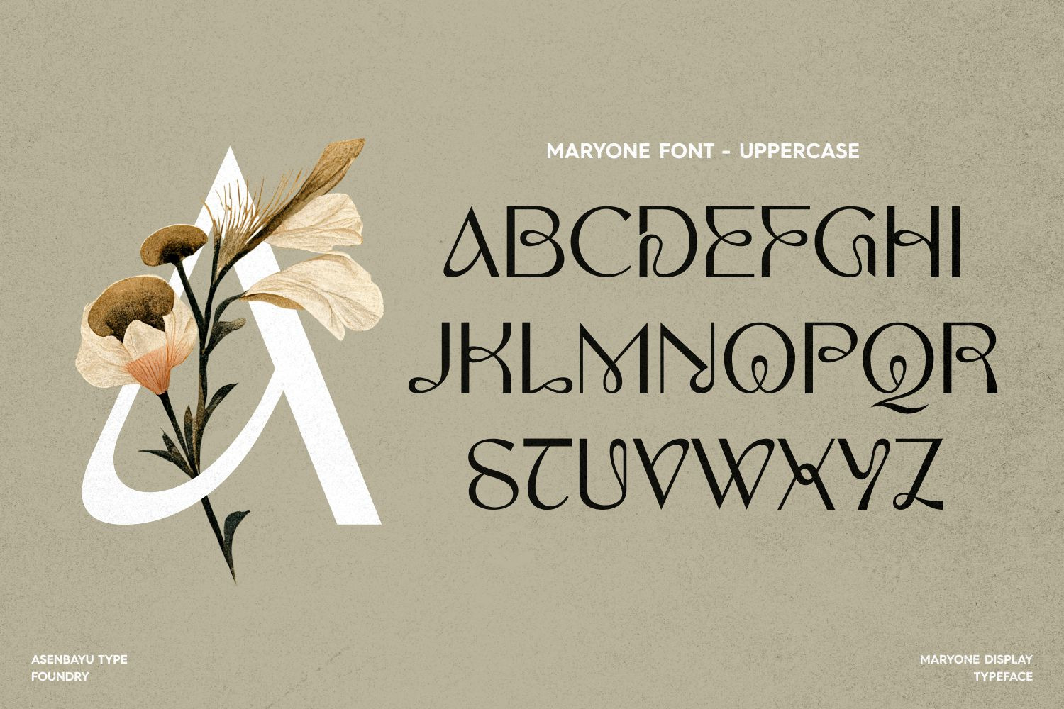 Maryone - Unique Meander Typeface Maryone - Unique Meander Typeface