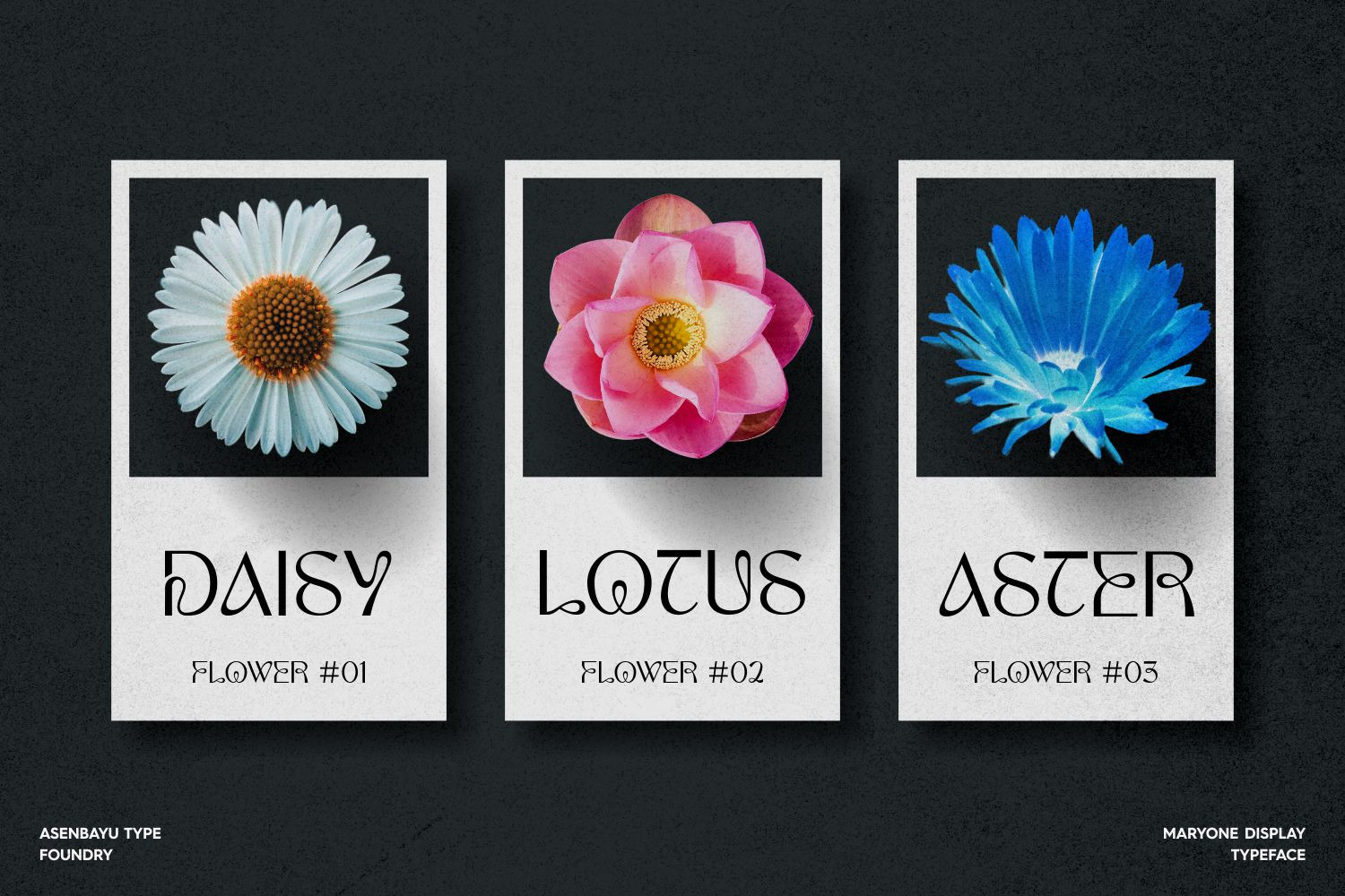 Maryone - Unique Meander Typeface Maryone - Unique Meander Typeface