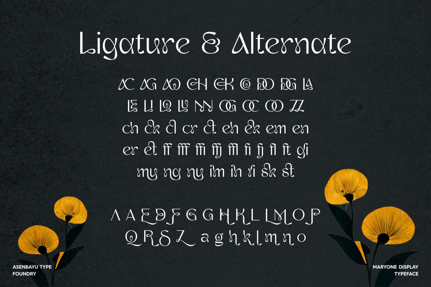 Maryone - Unique Meander Typeface Maryone - Unique Meander Typeface
