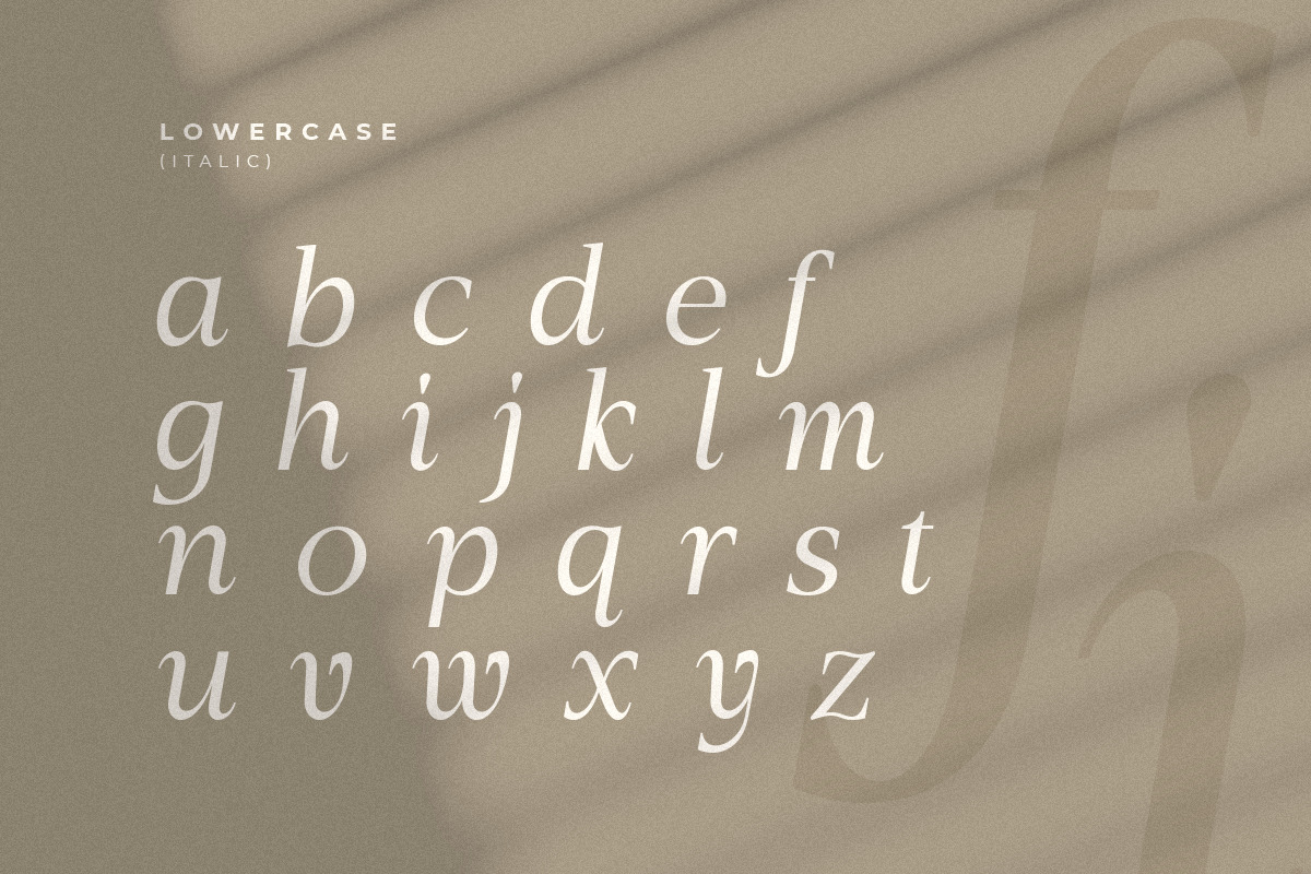 Starting Lineup - Beauty Modern Serif Font Family Starting Lineup - Beauty Modern Serif Font Family