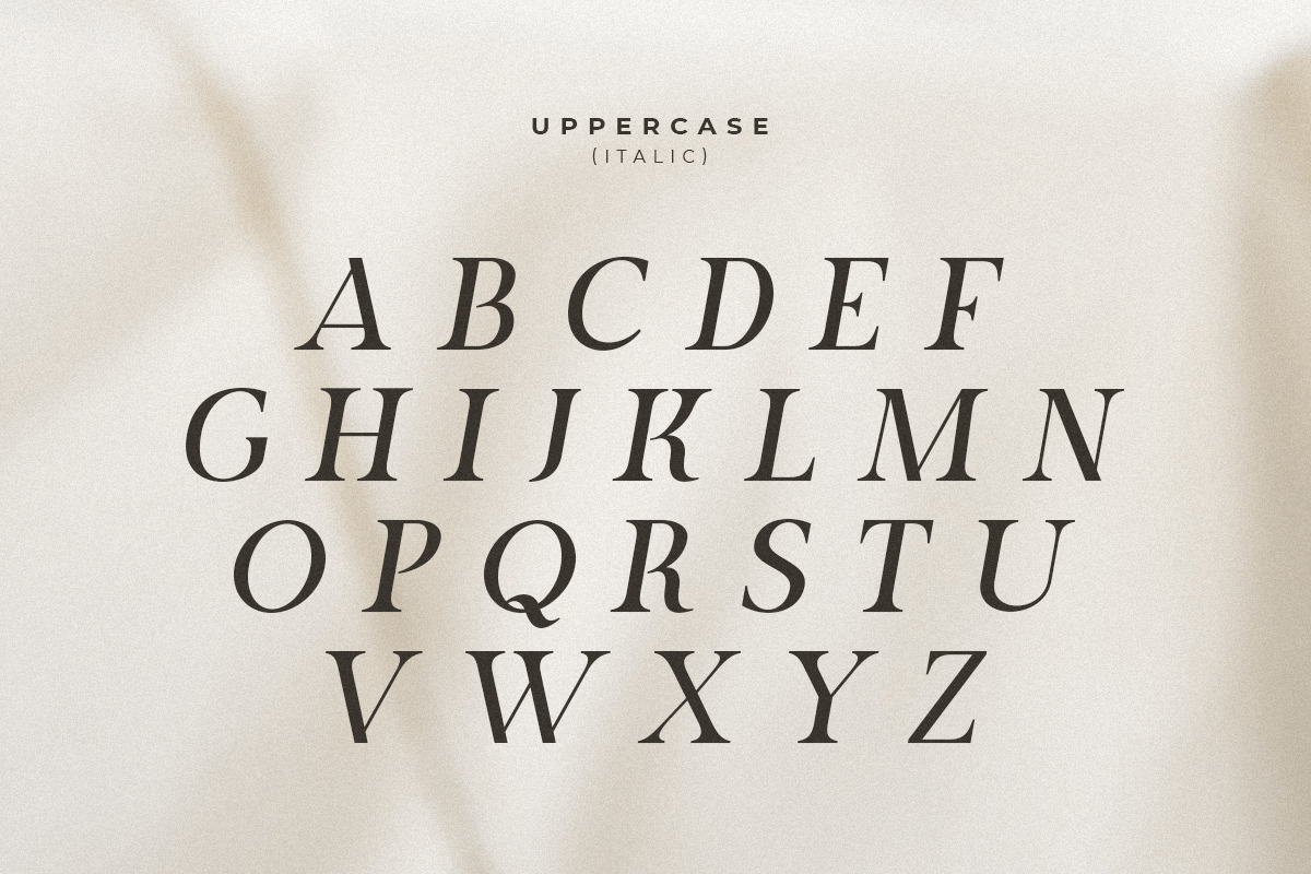 Starting Lineup - Beauty Modern Serif Font Family Starting Lineup - Beauty Modern Serif Font Family
