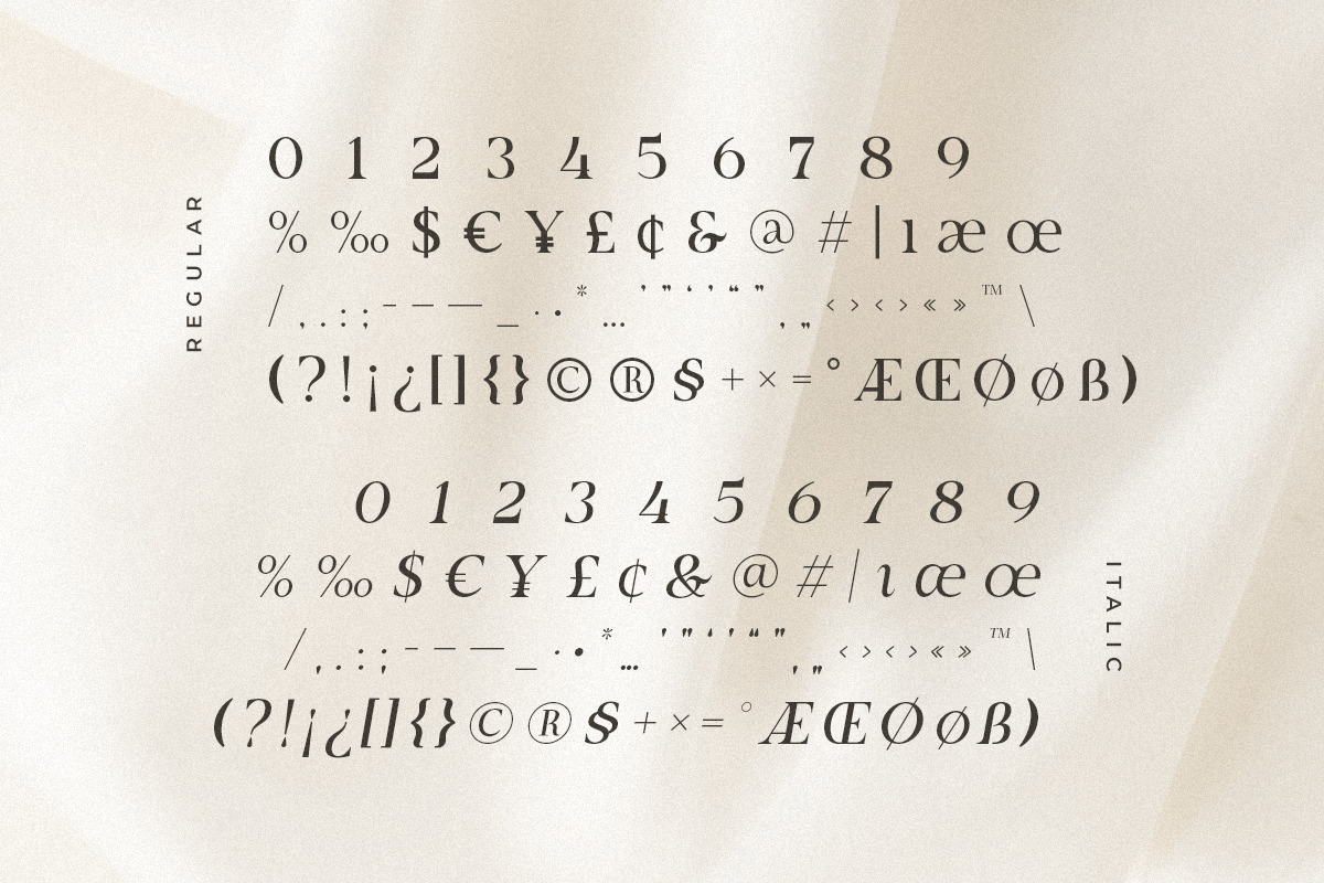 Starting Lineup - Beauty Modern Serif Font Family Starting Lineup - Beauty Modern Serif Font Family