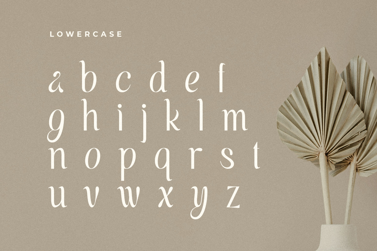 Voyage - Modern Classy Serif Font Voyage - Modern Classy Serif Font