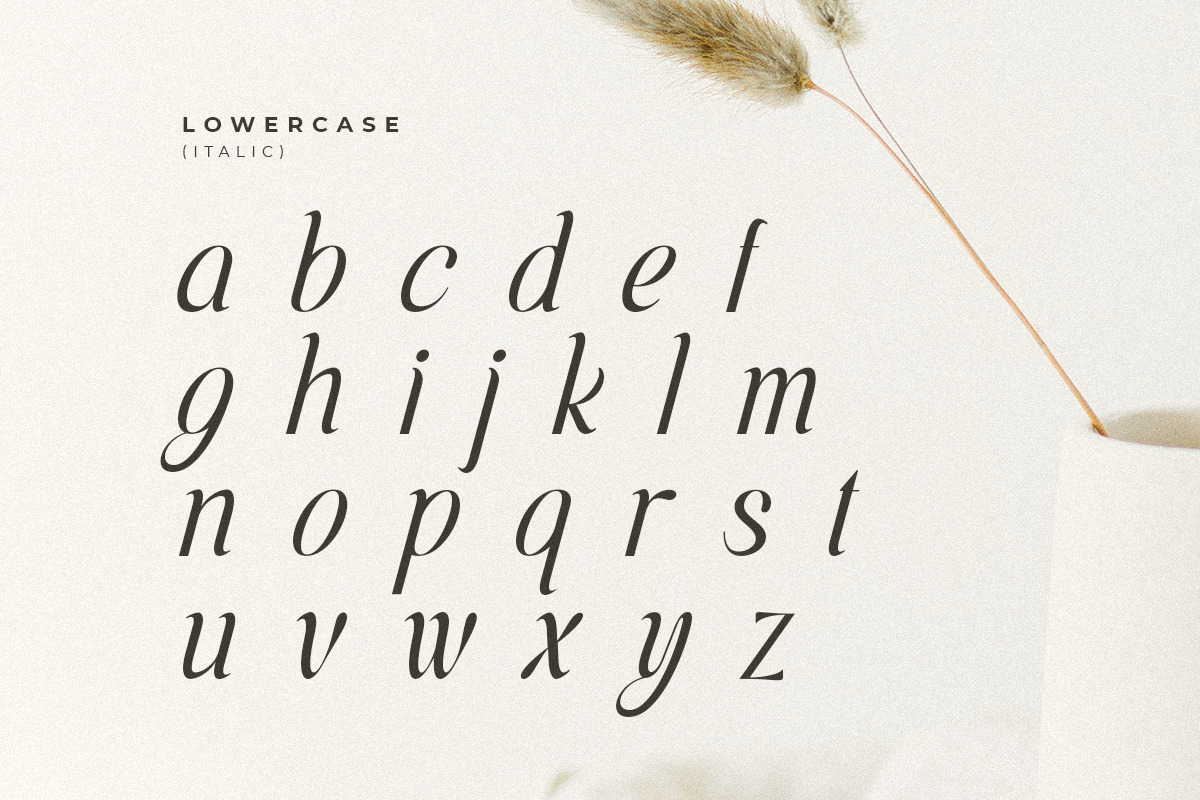 Voyage - Modern Classy Serif Font Voyage - Modern Classy Serif Font