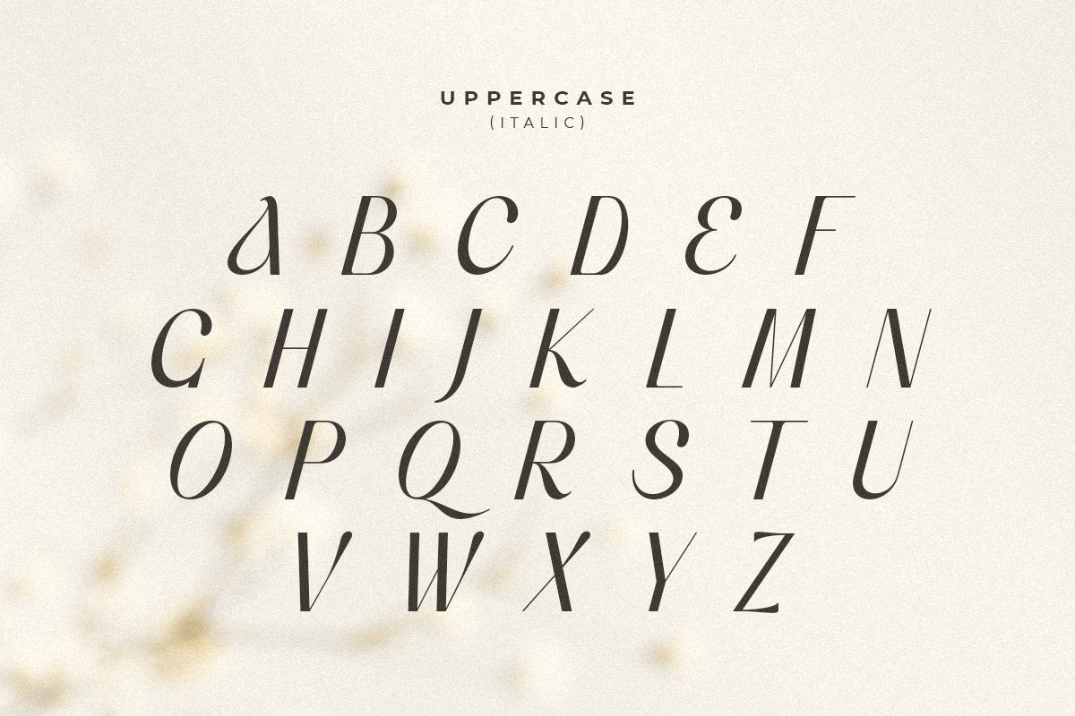 Voyage - Modern Classy Serif Font