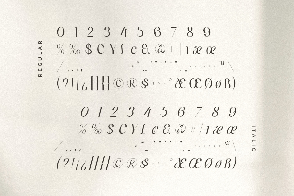 Voyage - Modern Classy Serif Font Voyage - Modern Classy Serif Font