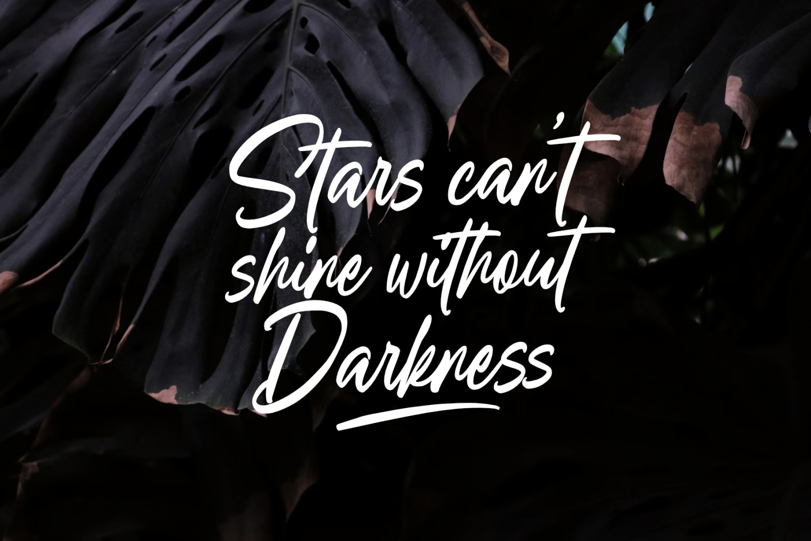 Sellinda Bright Handwriting Typeface Sellinda Bright Handwriting Typeface