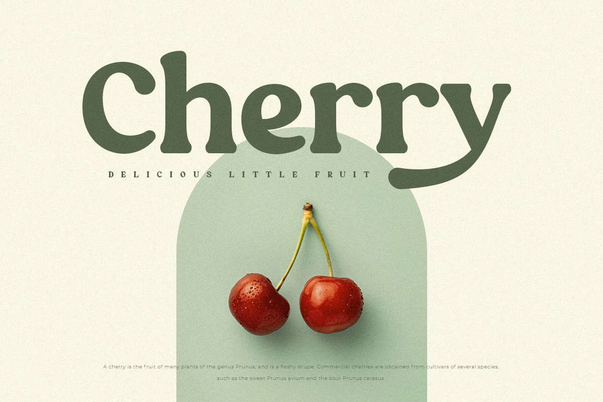 Quinnie - Vintage Retro Serif Font Quinnie - Vintage Retro Serif Font