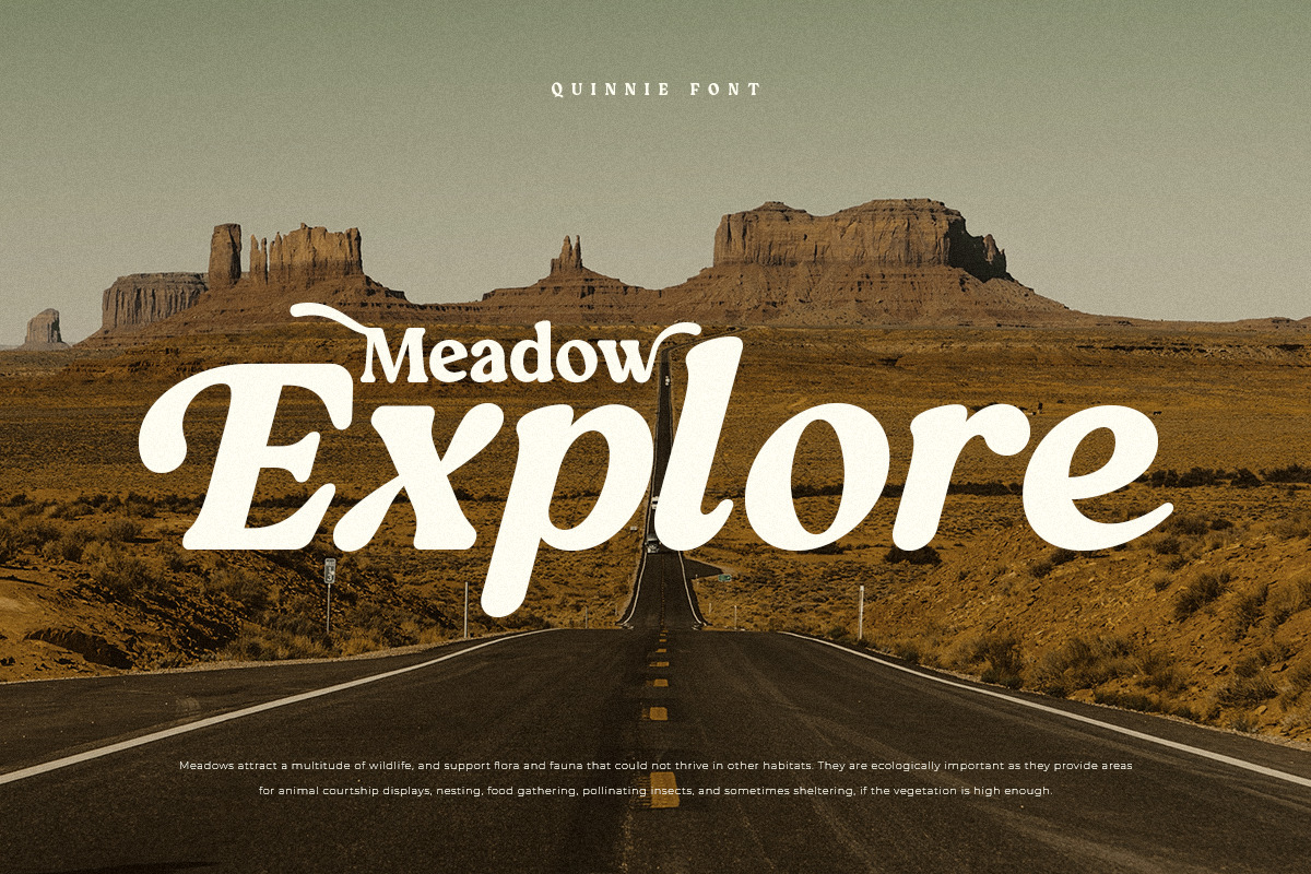 Quinnie - Vintage Retro Serif Font Quinnie - Vintage Retro Serif Font