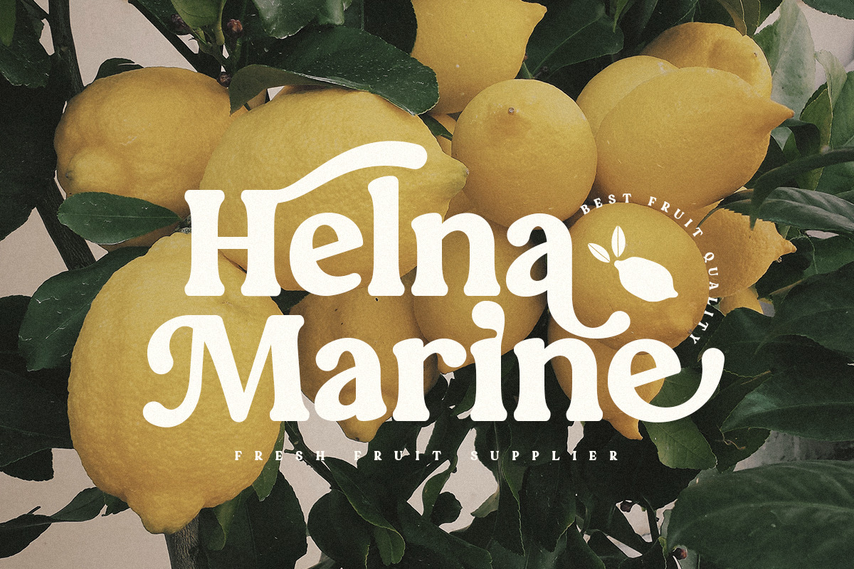 Quinnie - Vintage Retro Serif Font