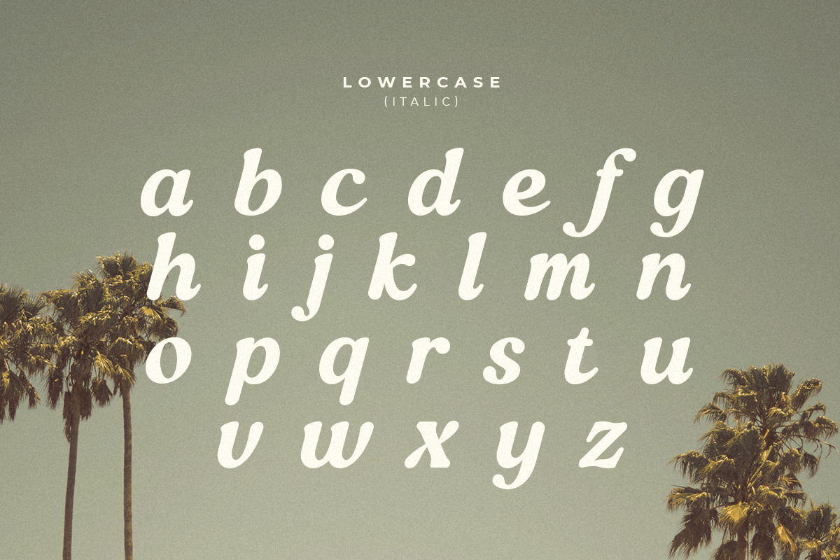 Quinnie - Vintage Retro Serif Font Quinnie - Vintage Retro Serif Font