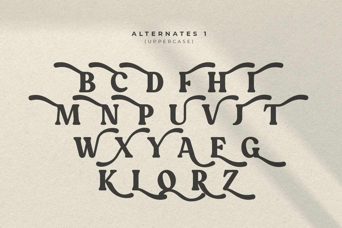 Quinnie - Vintage Retro Serif Font Quinnie - Vintage Retro Serif Font