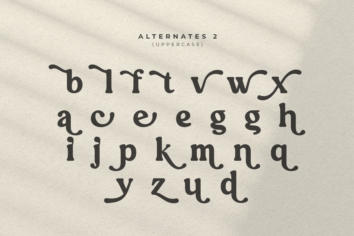 Quinnie - Vintage Retro Serif Font Quinnie - Vintage Retro Serif Font