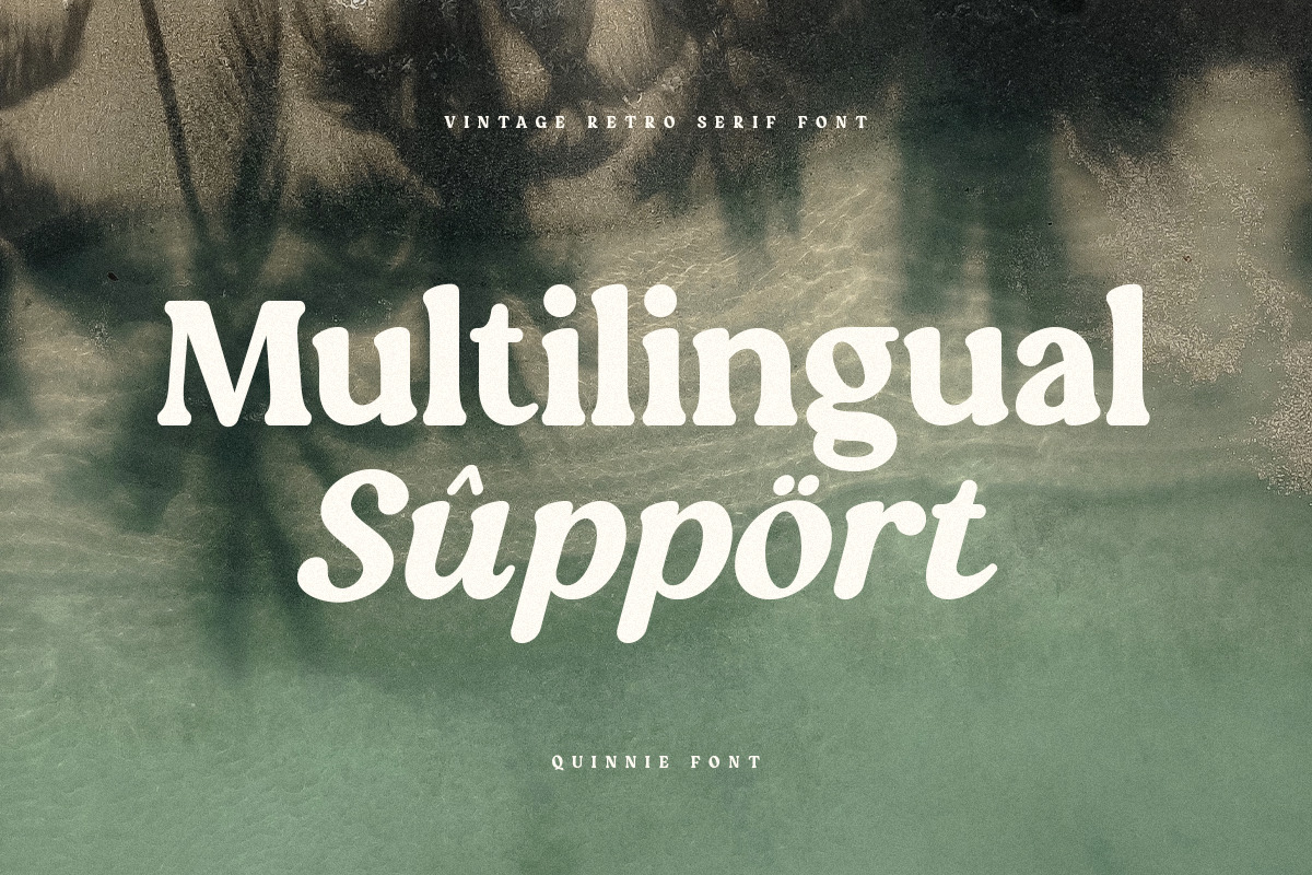 Quinnie - Vintage Retro Serif Font Quinnie - Vintage Retro Serif Font