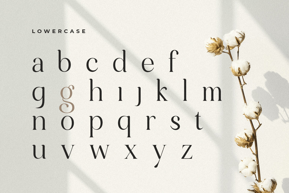Amiora - Modern Unique Display Font Amiora - Modern Unique Display Font