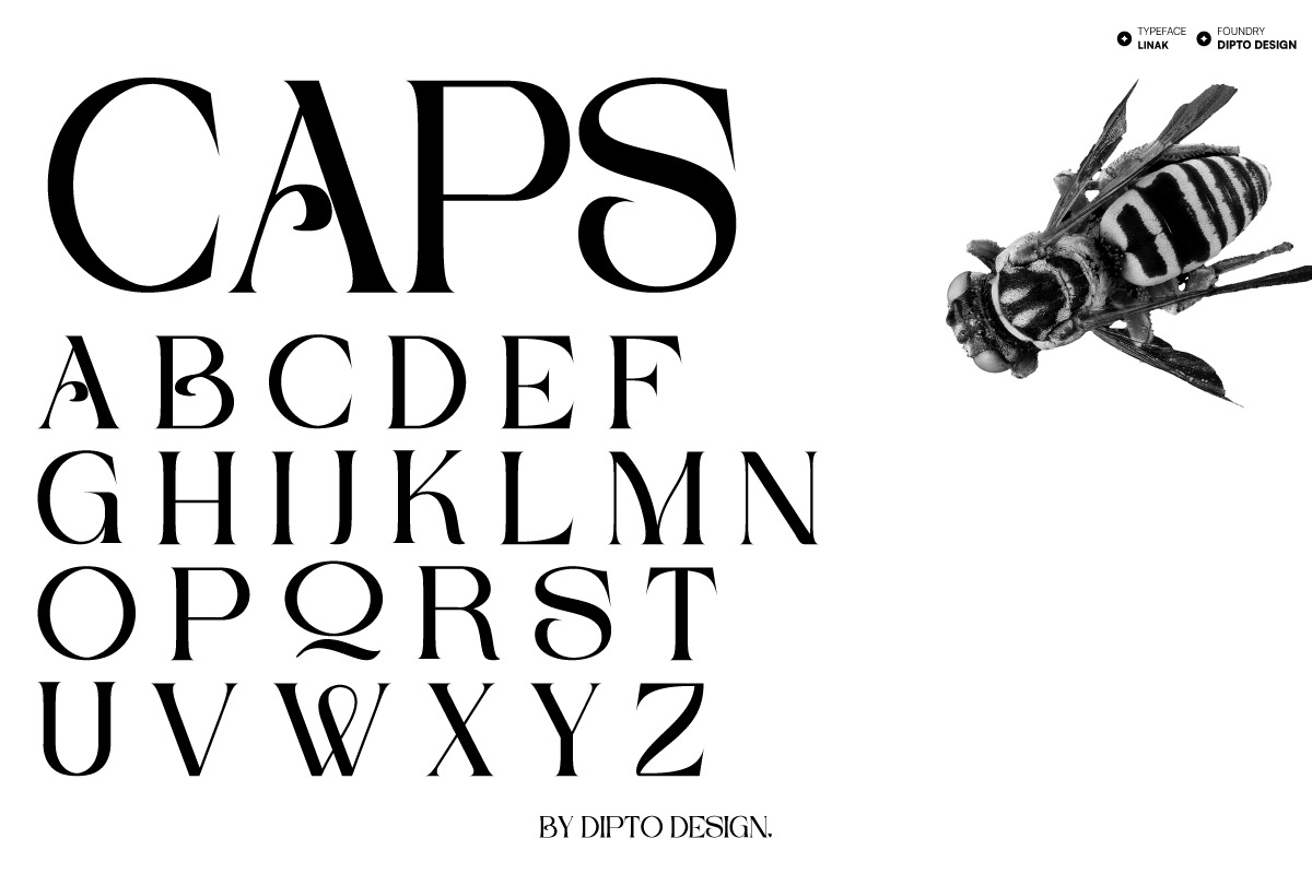 Linak Font Linak Font