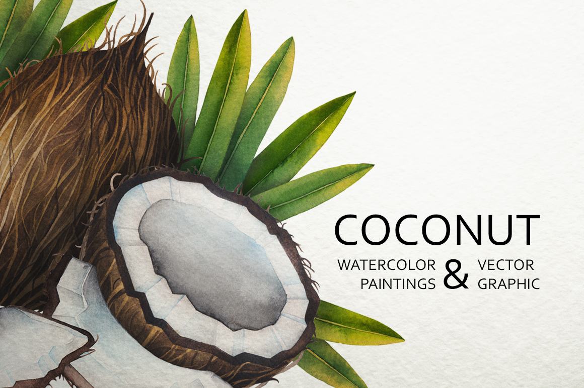 Watercolor and graphic coconut Watercolor and graphic coconut