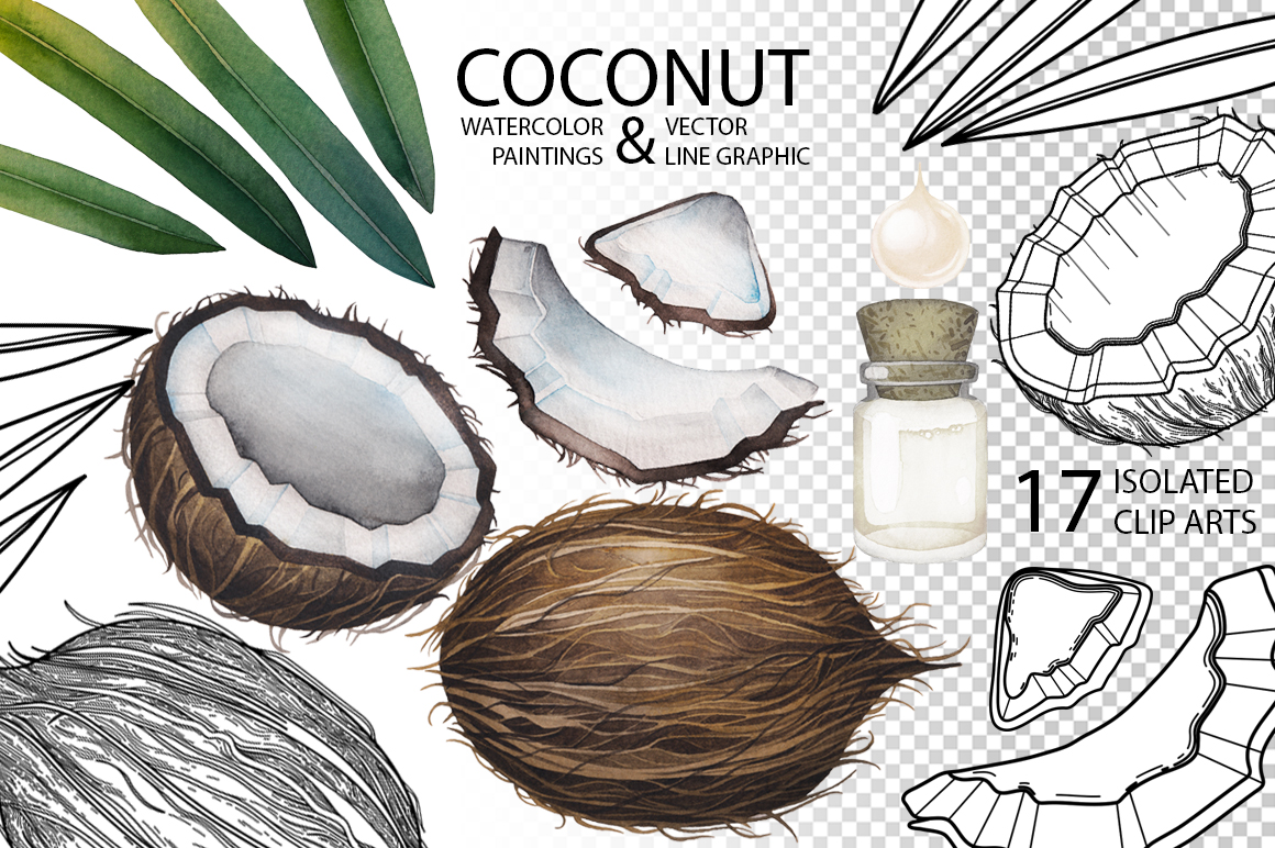 Watercolor and graphic coconut Watercolor and graphic coconut