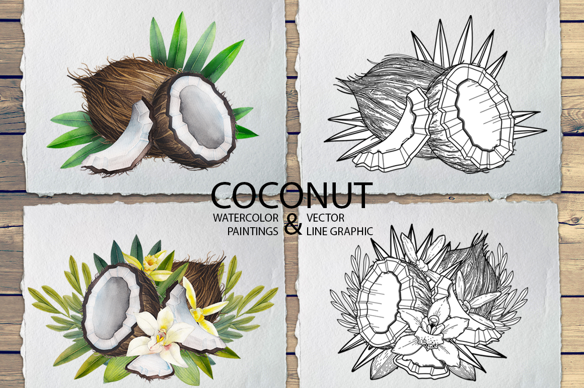 Watercolor and graphic coconut Watercolor and graphic coconut