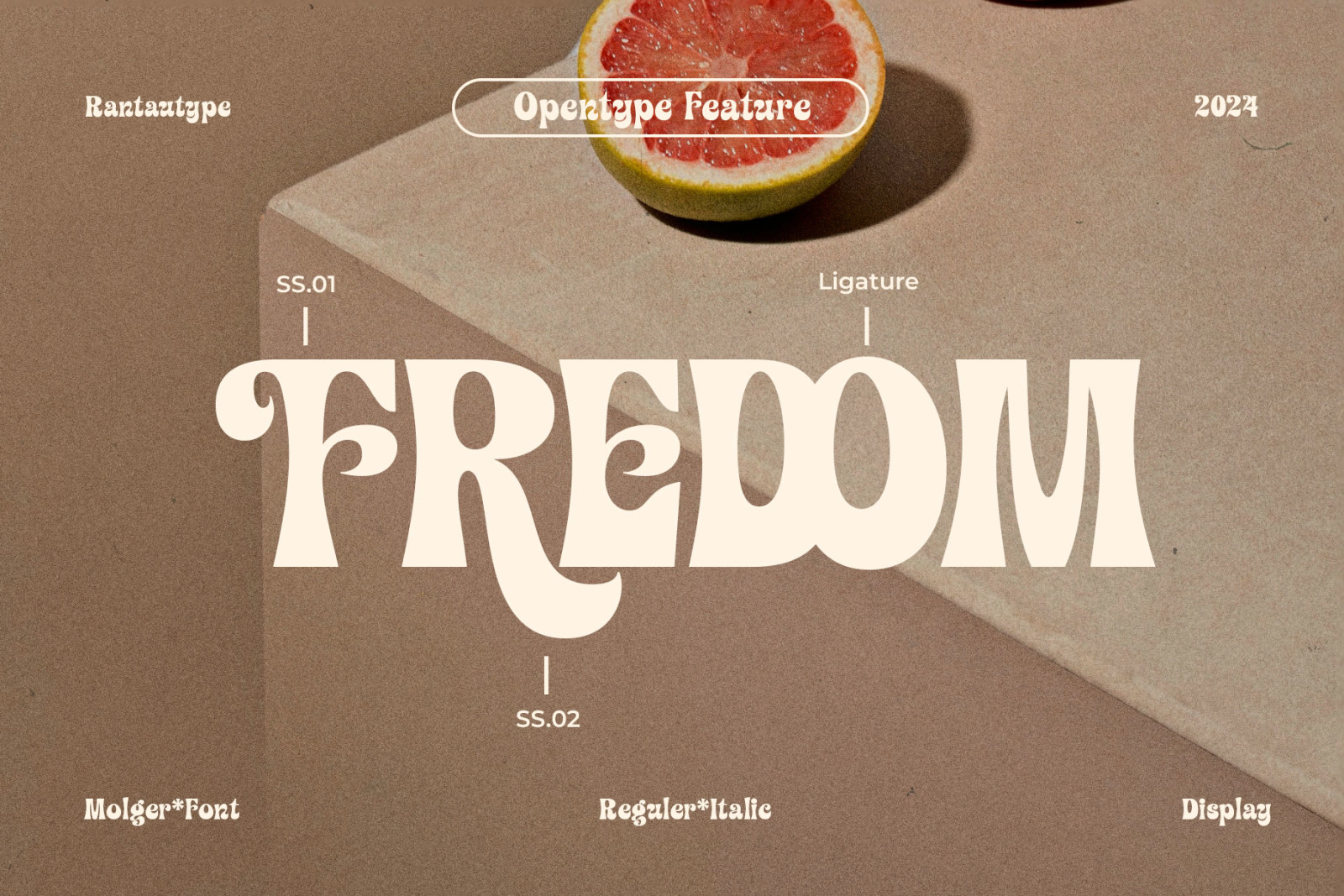 Molger Retro Display Font