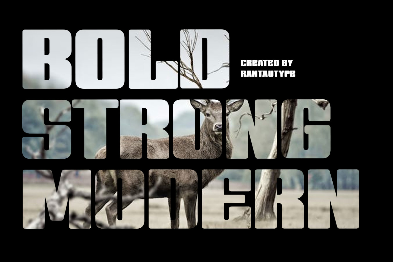 Gotens Bold Condensed Display Font Gotens Bold Condensed Display Font
