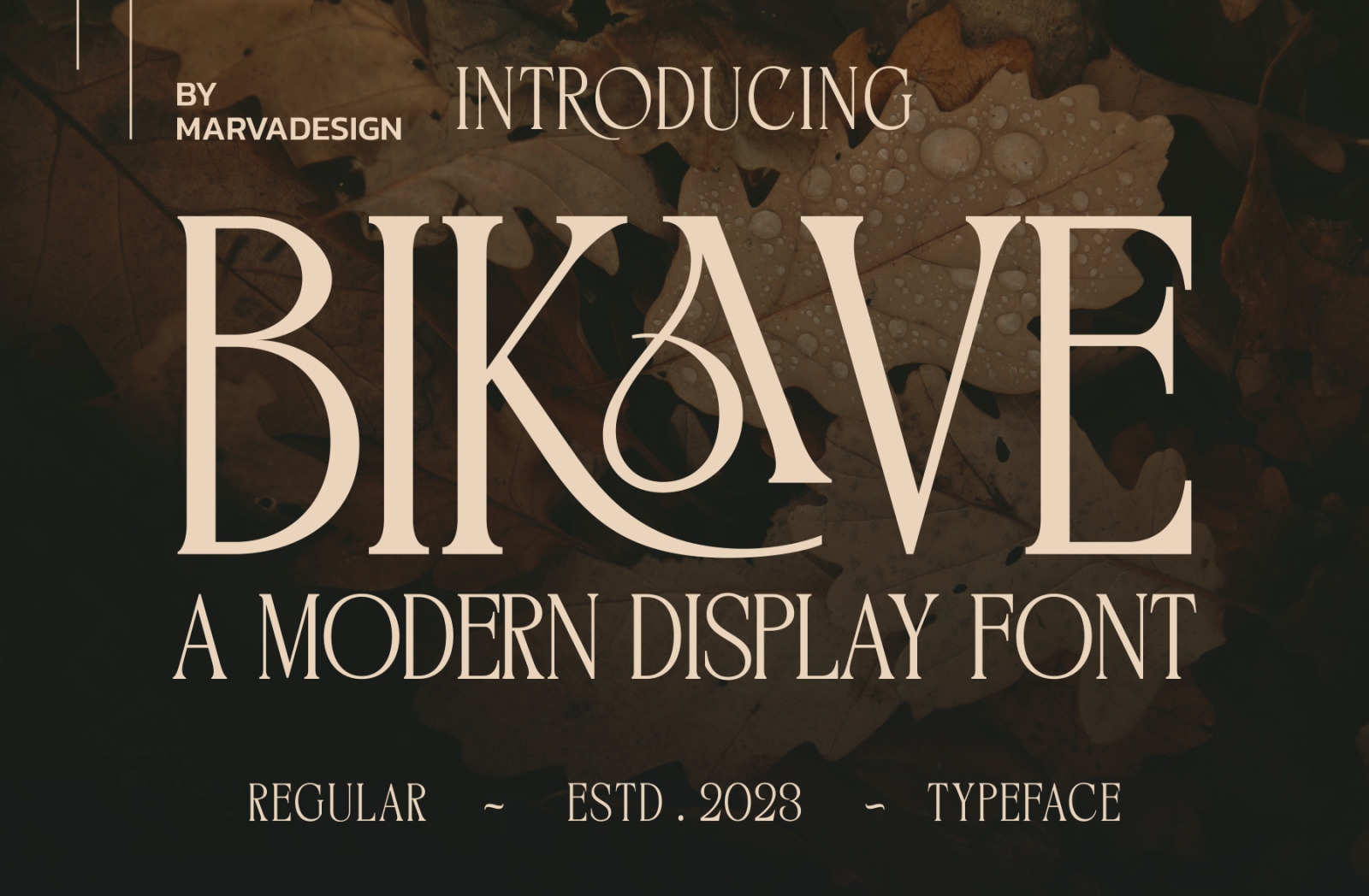 BIKAVE - A Modern Display