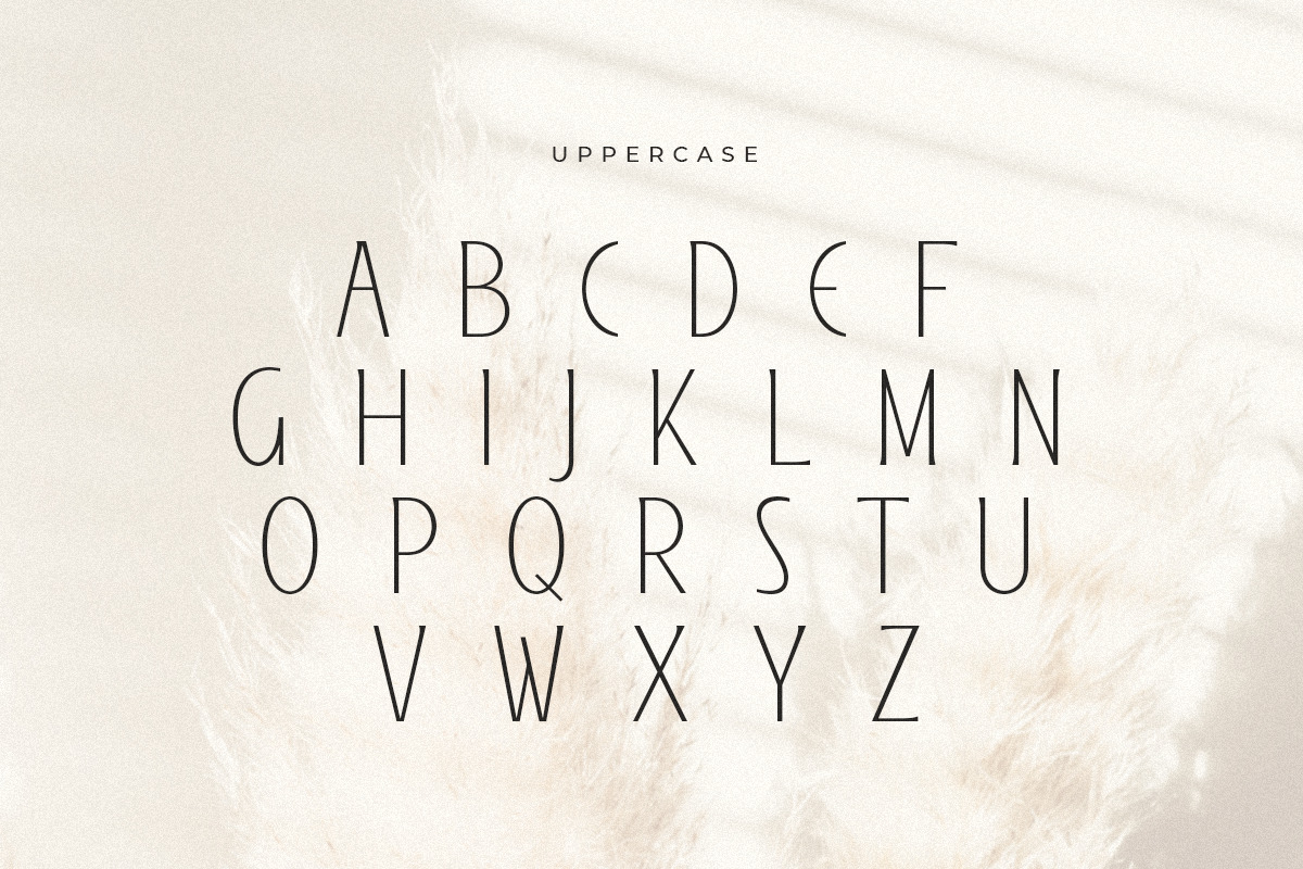 Gingka - Condensed Fashion Modern Font