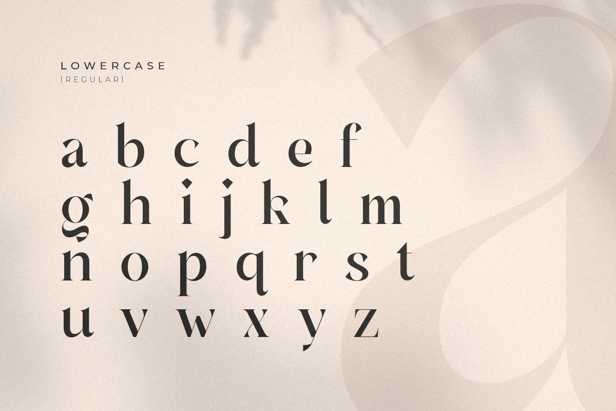 Barbeque - Modern Luxury Serif Font