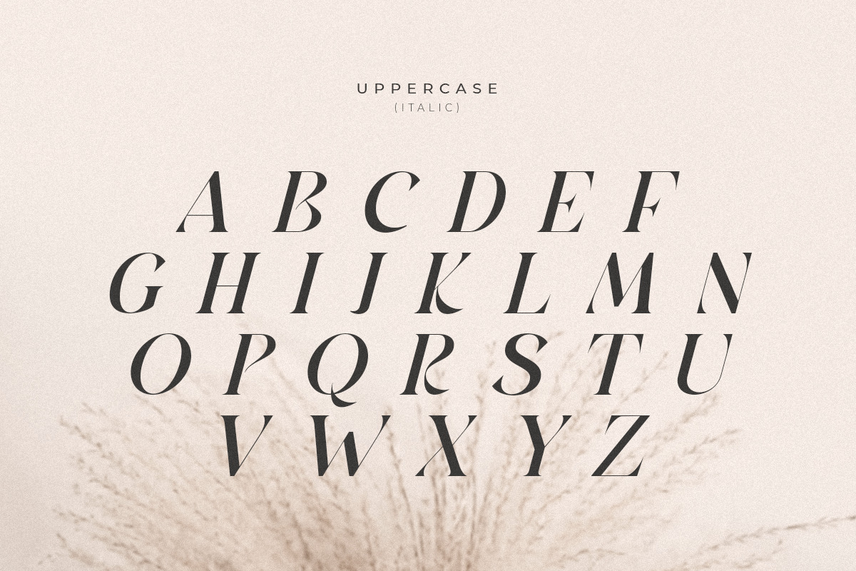 Barbeque - Modern Luxury Serif Font