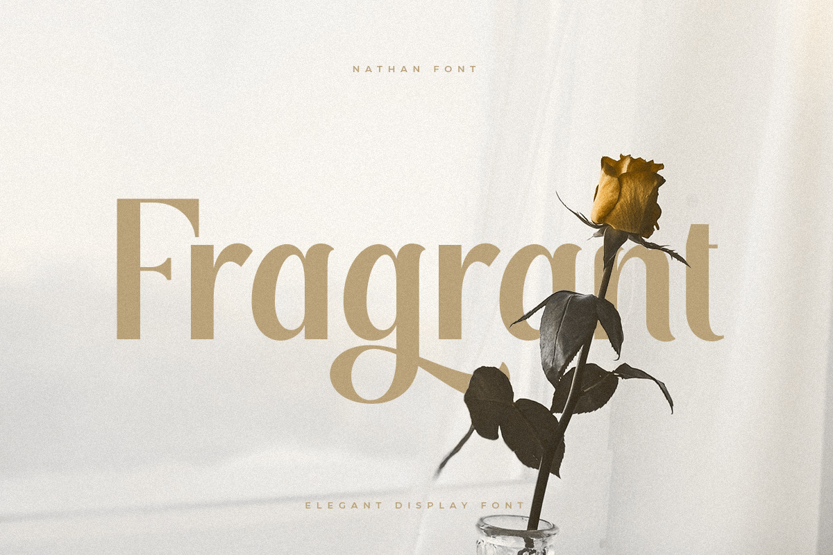 Nathan - Elegant Display Font Nathan - Elegant Display Font