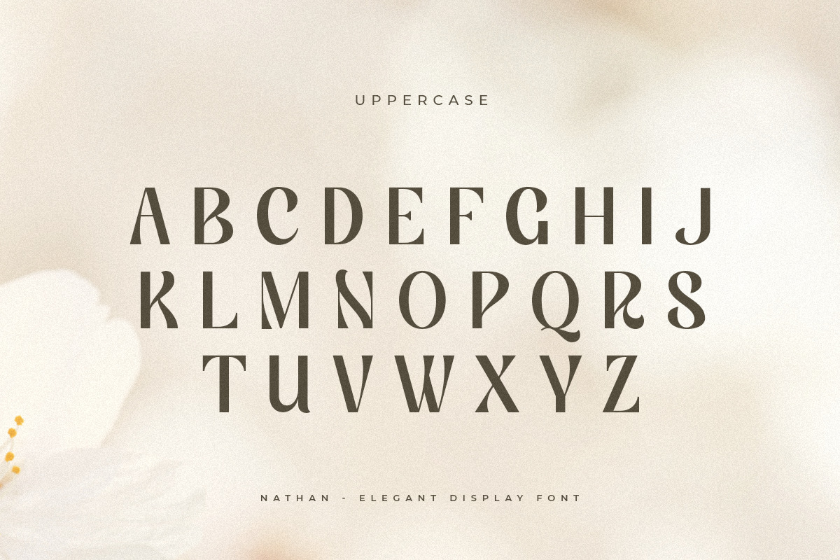 Nathan - Elegant Display Font Nathan - Elegant Display Font