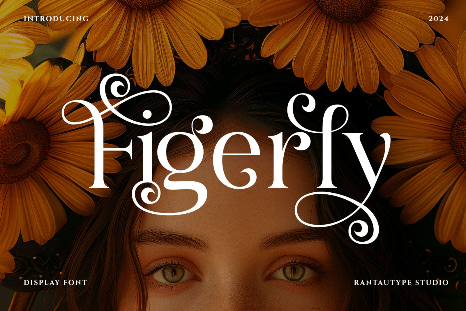 Figerly Modern Serif Font Figerly Modern Serif Font