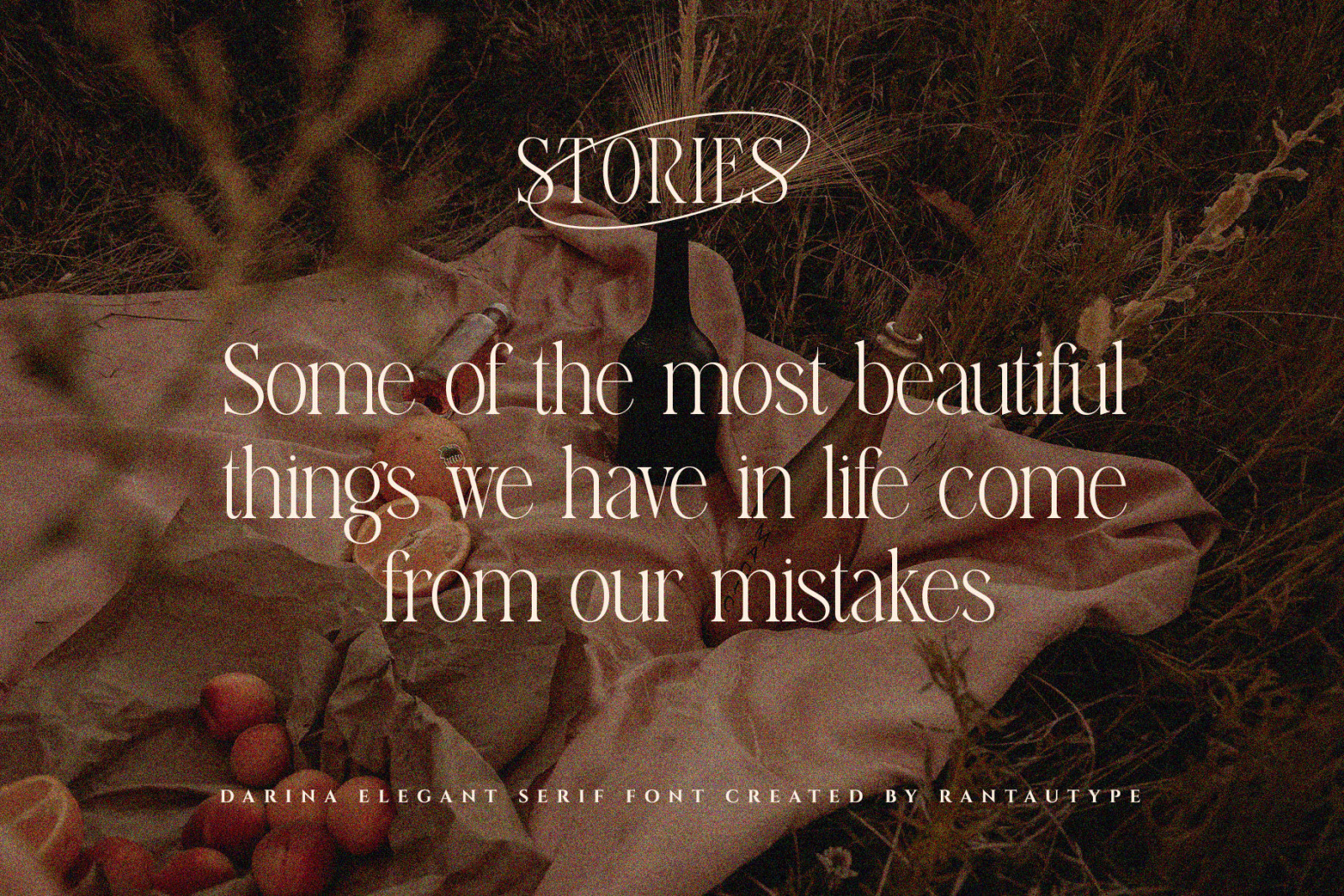 Darina Elegant Serif font Darina Elegant Serif font