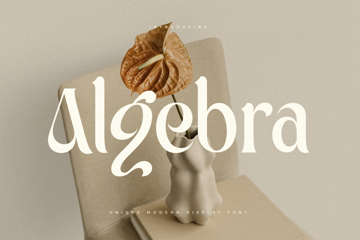 Algebra - Unique Modern Display Font