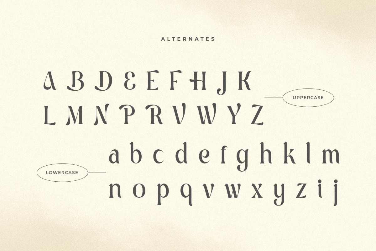 Algebra - Unique Modern Display Font Algebra - Unique Modern Display Font