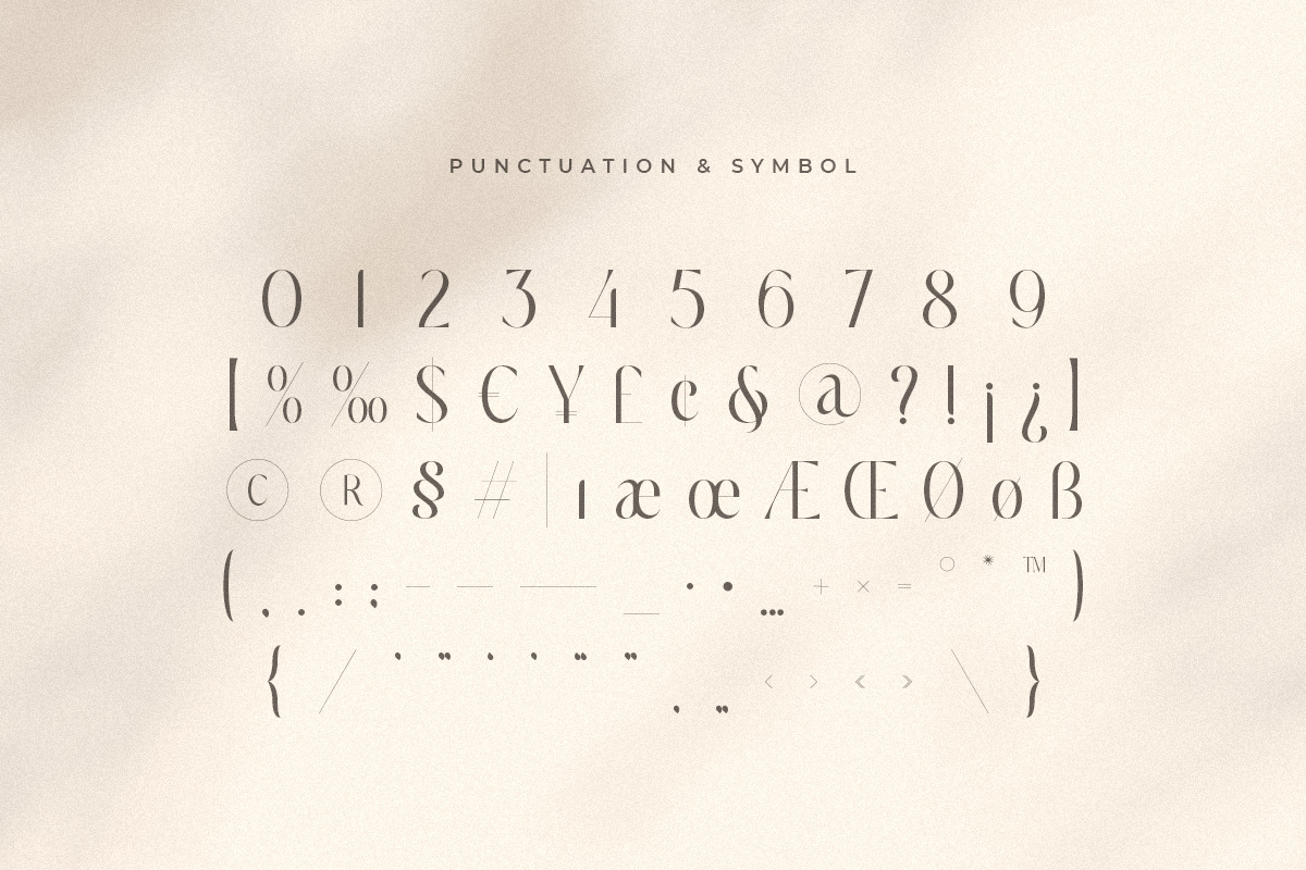 Belgium - Unique Feminine Display Font Belgium - Unique Feminine Display Font