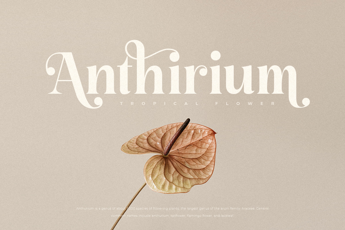 Gafta - Elegant Bold Serif Font Gafta - Elegant Bold Serif Font