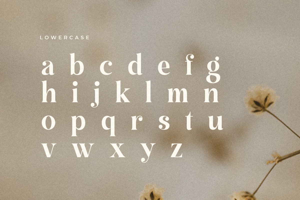 Gafta - Elegant Bold Serif Font Gafta - Elegant Bold Serif Font