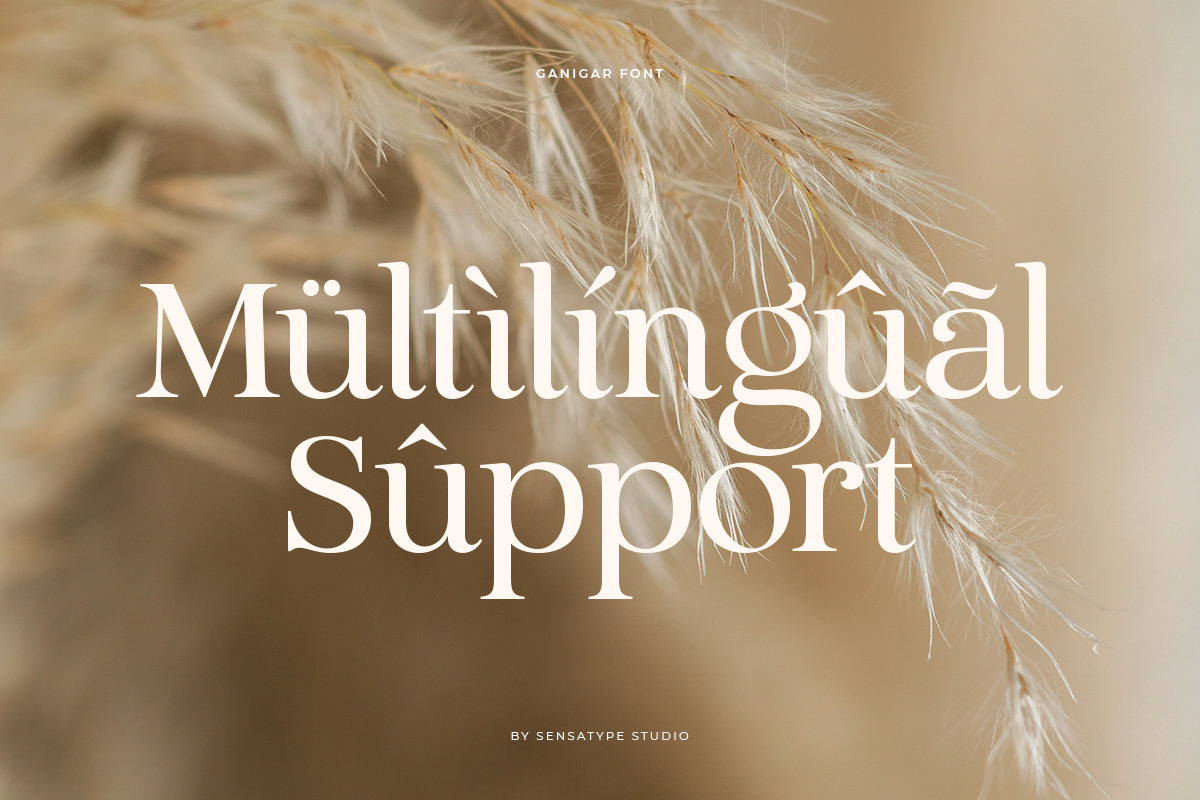 Ganigar – Modern Beauty Classy Serif