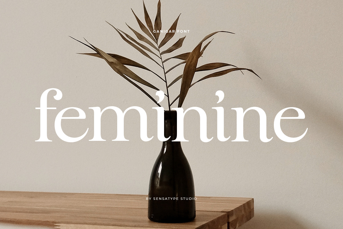 Ganigar – Modern Beauty Classy Serif Ganigar – Modern Beauty Classy Serif