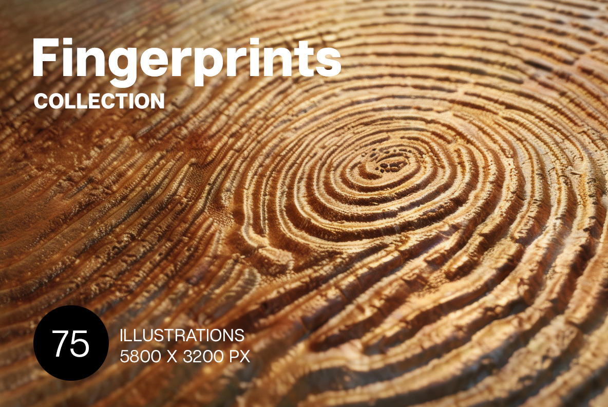 Fingerprints Fingerprints