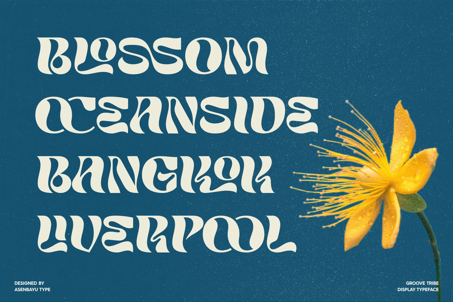 Groove Tribe - Groovy Display Font Groove Tribe - Groovy Display Font