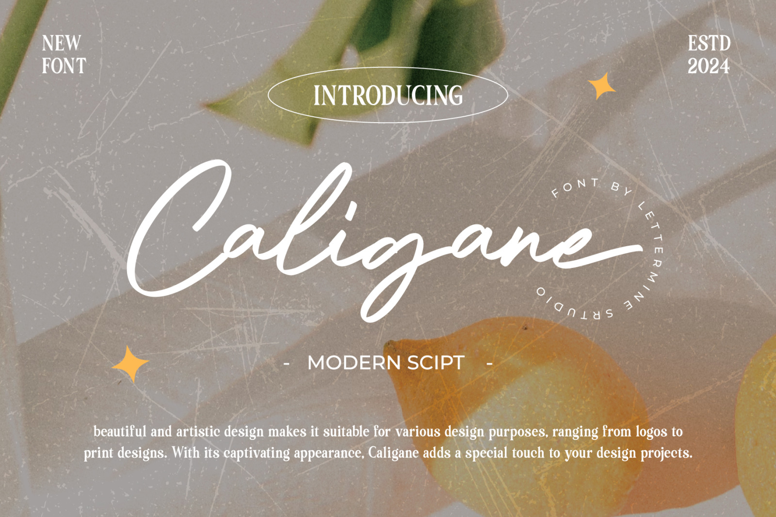 Caligane - Modern Script Caligane - Modern Script
