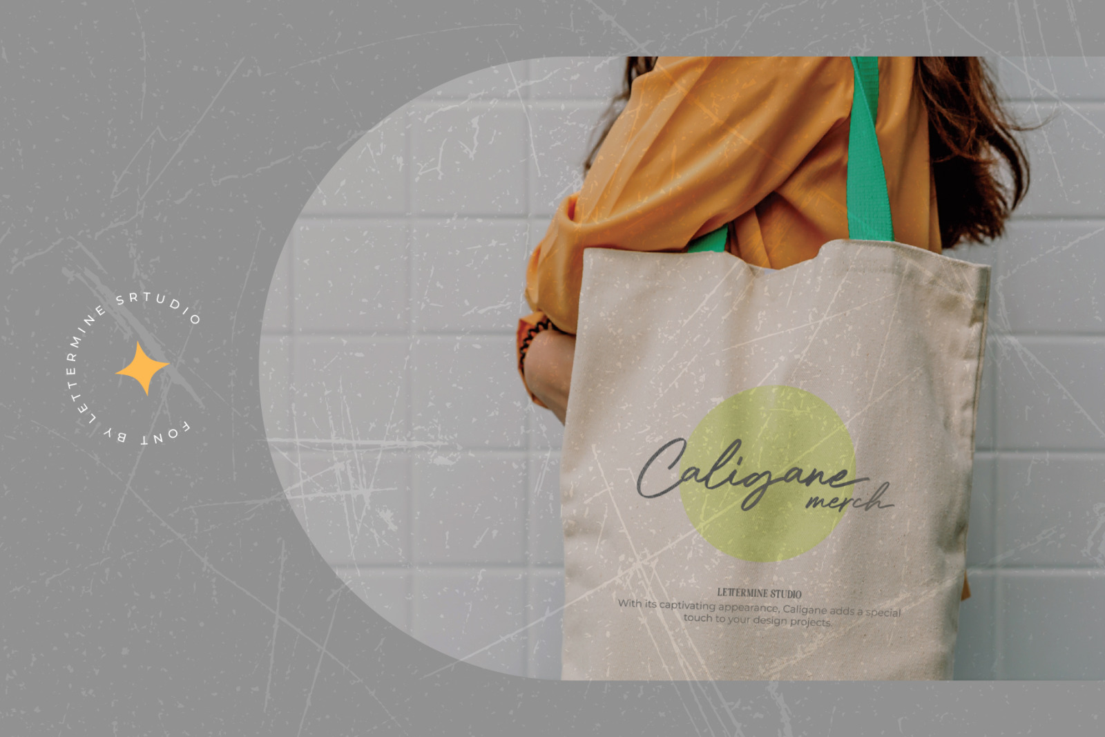 Caligane - Modern Script Caligane - Modern Script