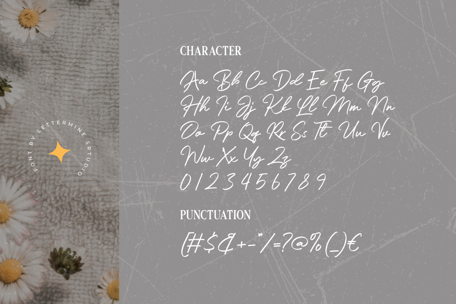 Caligane - Modern Script Caligane - Modern Script