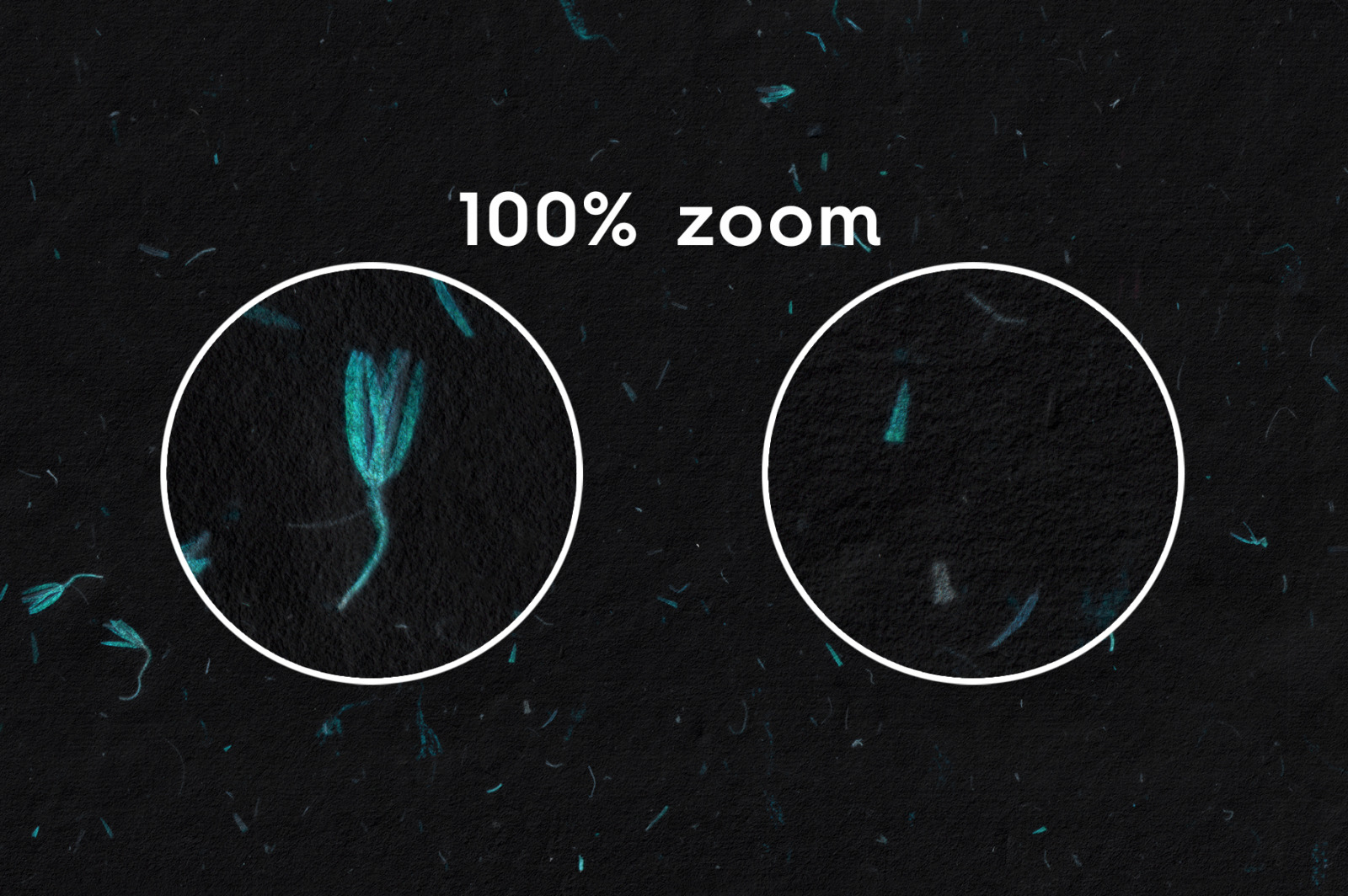 10 Turquoise Flowers Black Paper Texture Backgrounds