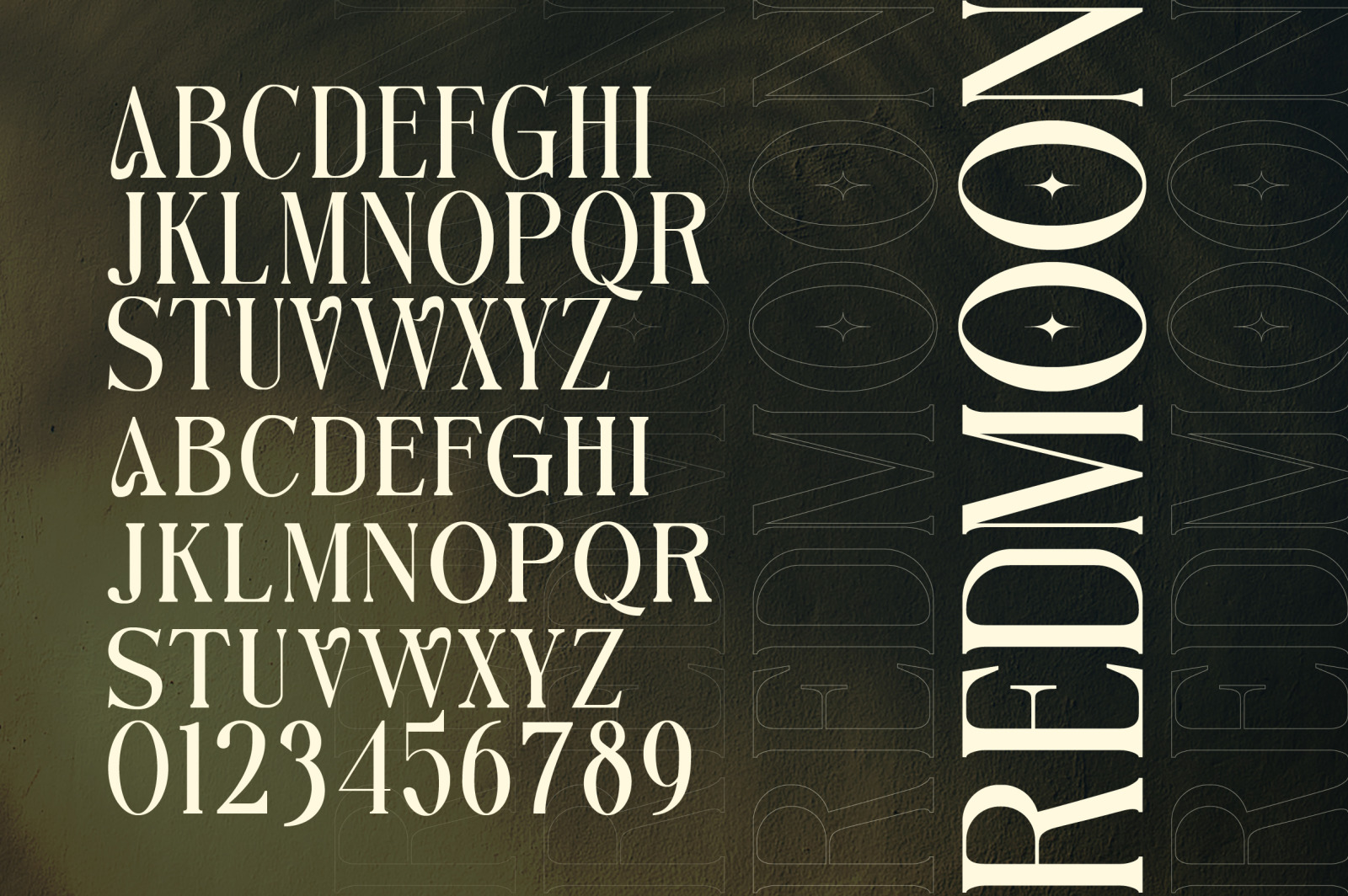 Anova a Elegant & Modern Serif Anova a Elegant & Modern Serif