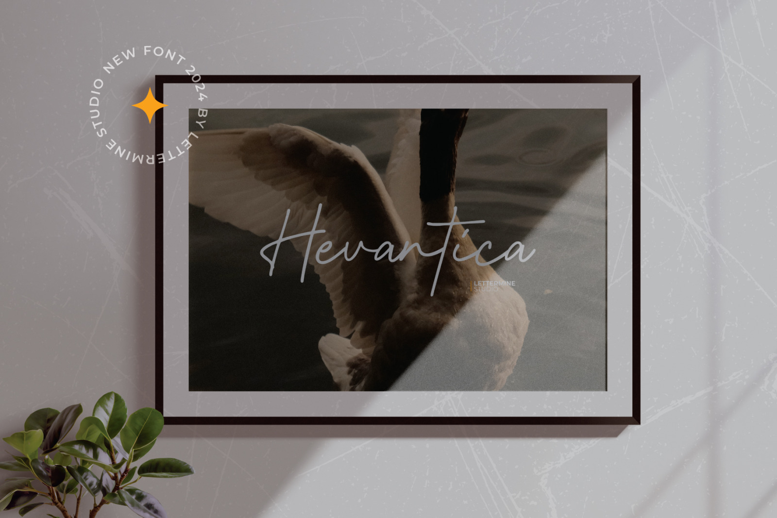 Hevantica - Elegant Script Hevantica - Elegant Script