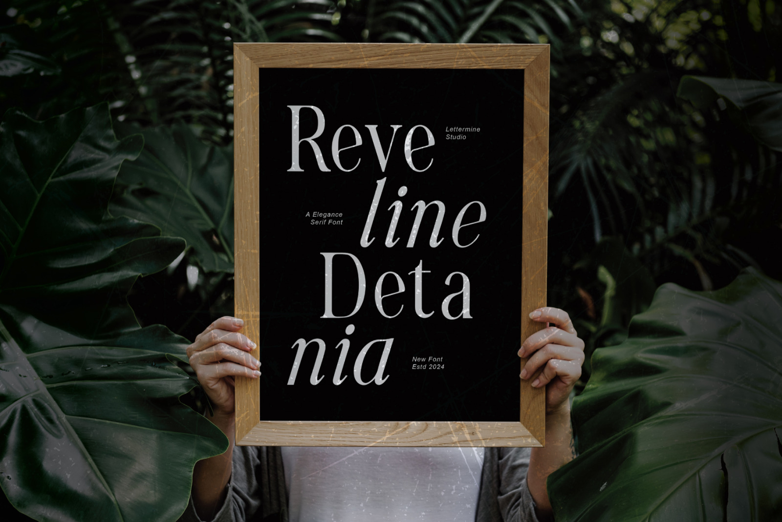 Reveline Detenia - Elegant Serif Reveline Detenia - Elegant Serif