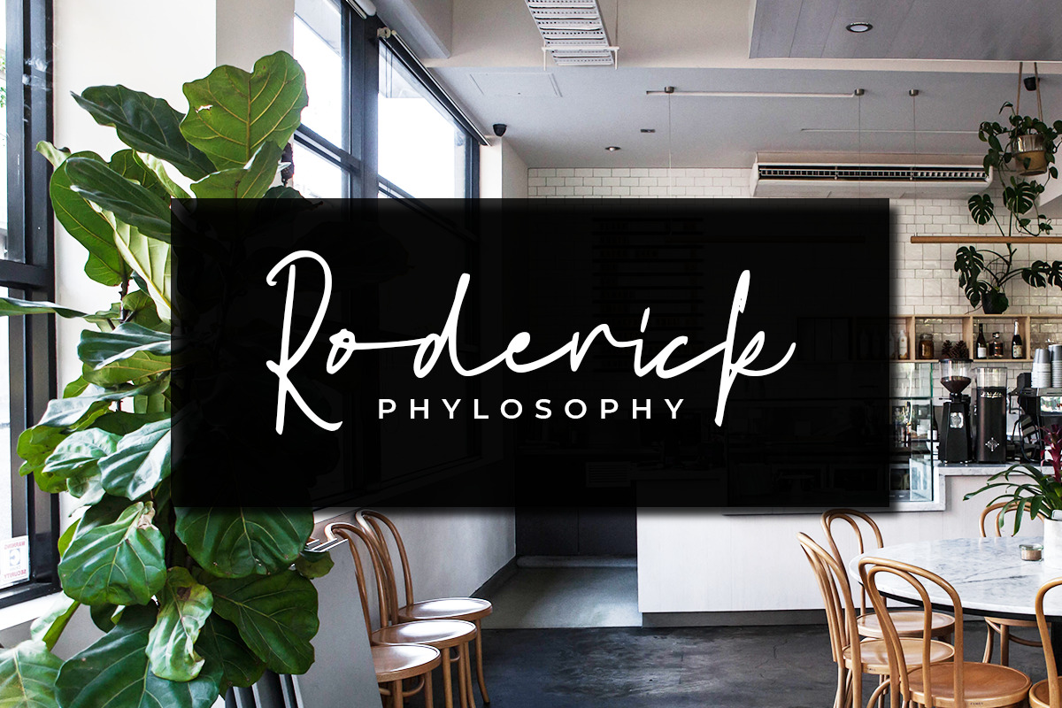 Backyard – Modern Signature Font Backyard – Modern Signature Font